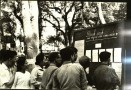 North Vietnam elections